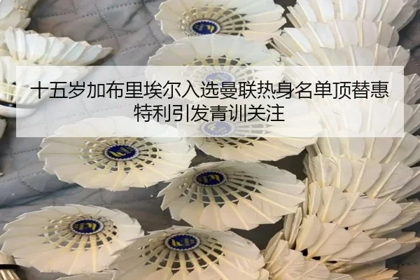 十五岁加布里埃尔入选曼联热身名单顶替惠特利引发青训关注
